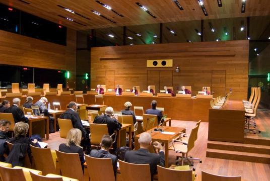 Curtea Europeană: Prima de asigurare nu poate fi inclusă în valoarea creditului